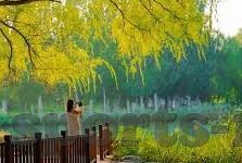 赢比分足球比分即时比分-赢比分，足球比分即时比分的魅力与影响