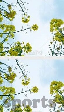 足球比分彩票如何计算-足球比分彩票计算全解析，规则、方法与注意事项