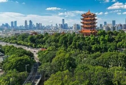 足球比分俄罗斯杯-俄罗斯杯，绿茵场上的比分交响曲，激情与荣耀的碰撞