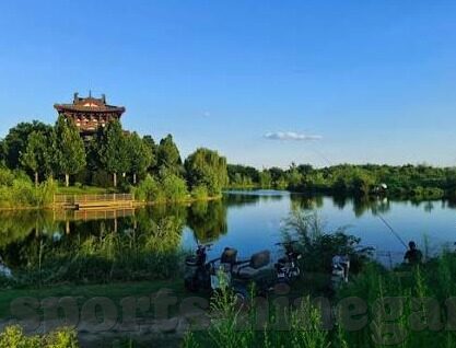 足球电视全部比分-足球电视，解锁全部比分，畅享绿茵激情