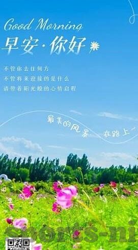 足球及时500比分-足球及时500比分，实时赛况的数字脉搏与球迷的激情共振